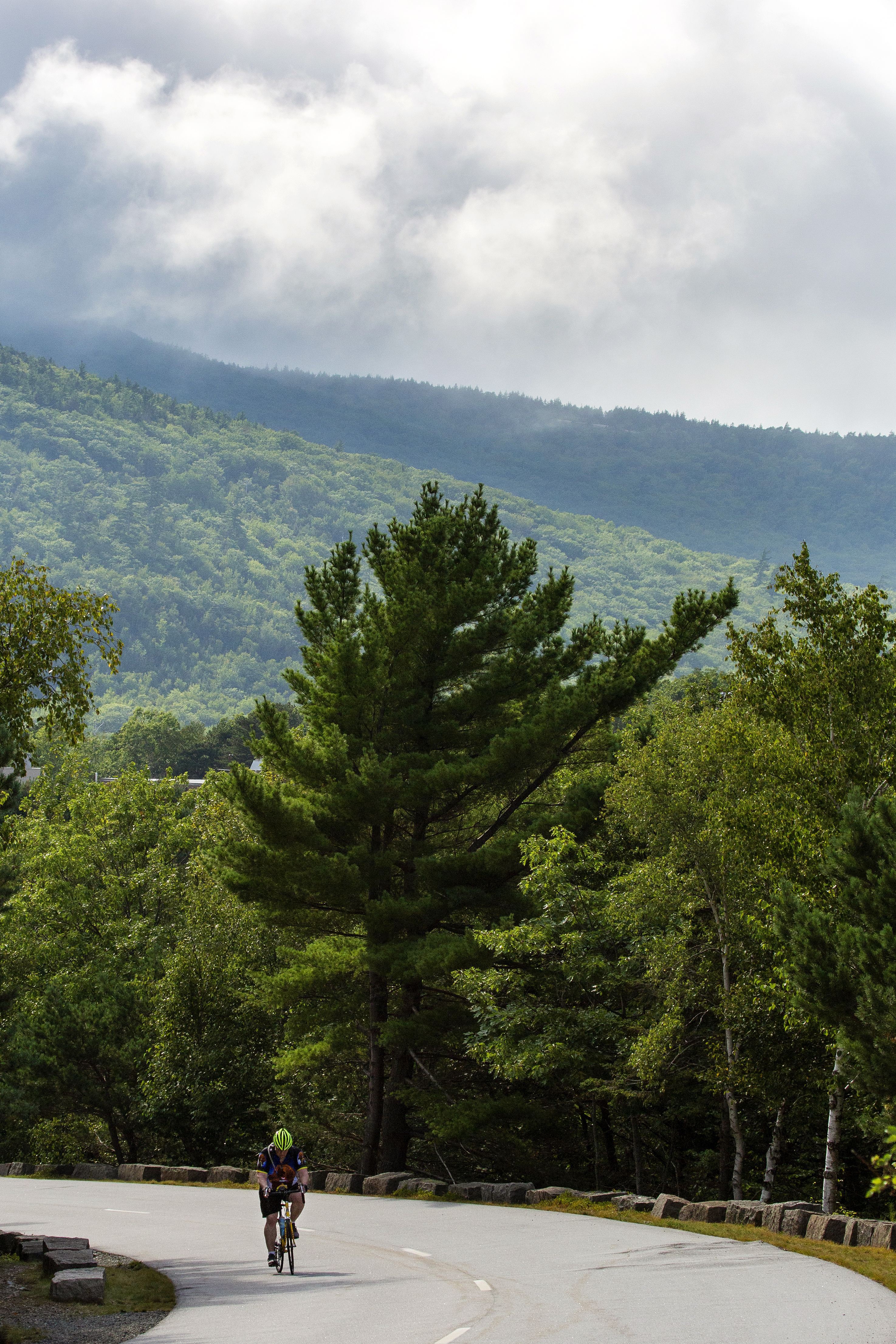Acadia mountain on sale biking