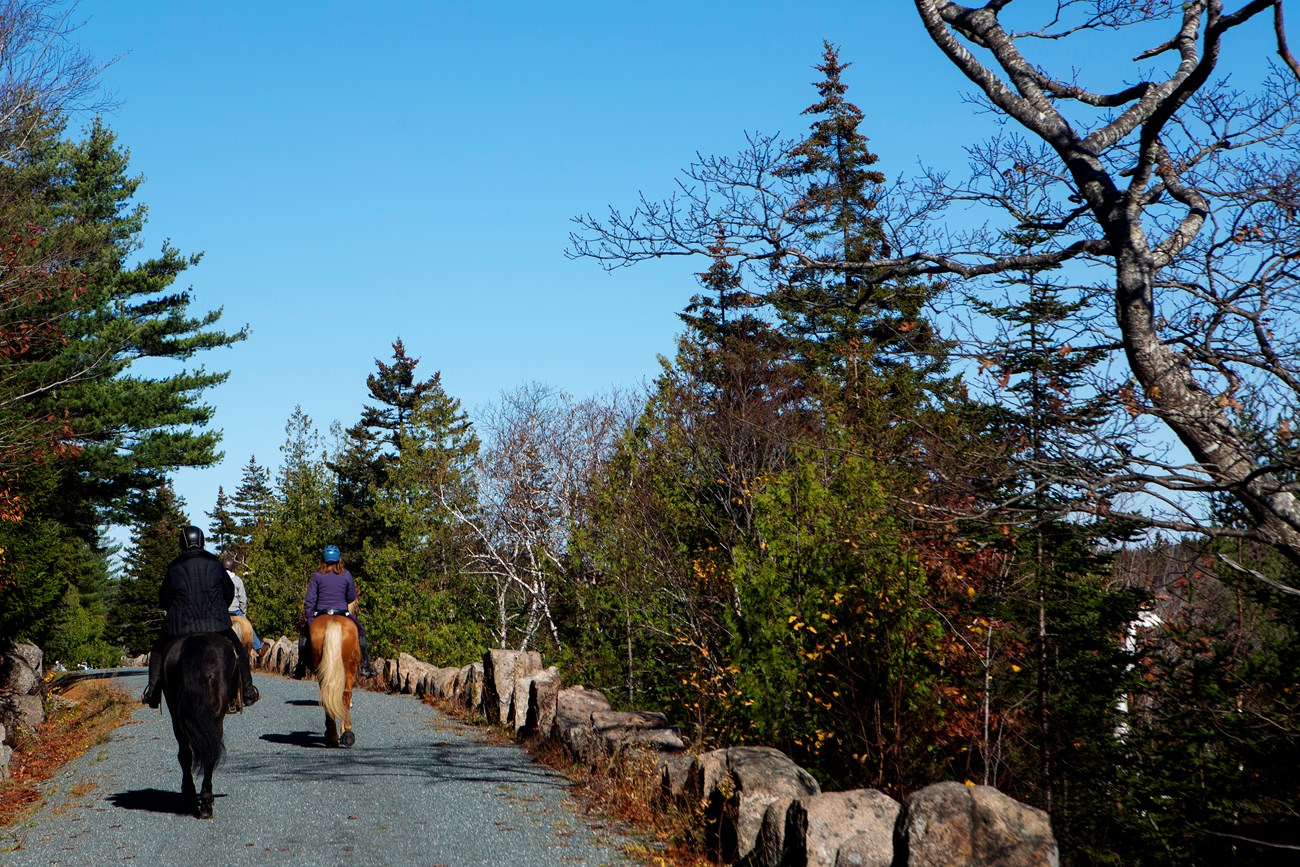 Visitors ride horses on a gravel carriage road