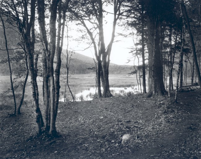 Historic photograph of a path near a lake