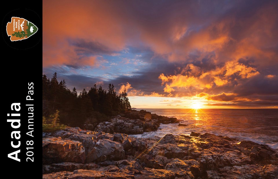 Image of Acadia's 2018 annual pass, featuring a sunrise along a coastline Image of Acadia's 2018 annual pass, featuring a sunrise along a coastline
