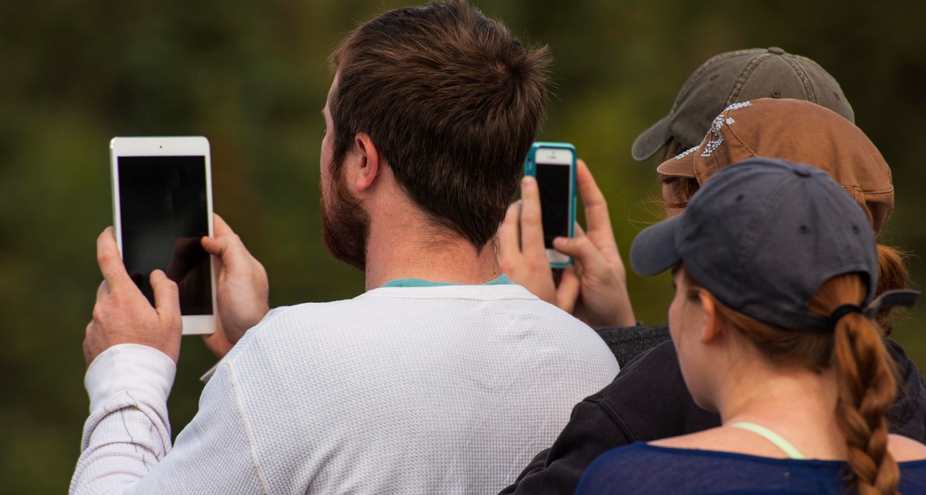 Row of visitors holding mobile devices