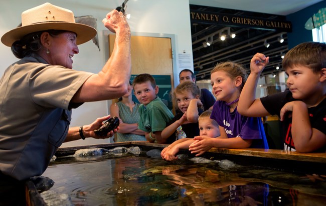 a ranger shows children a mussel in a touch tank
