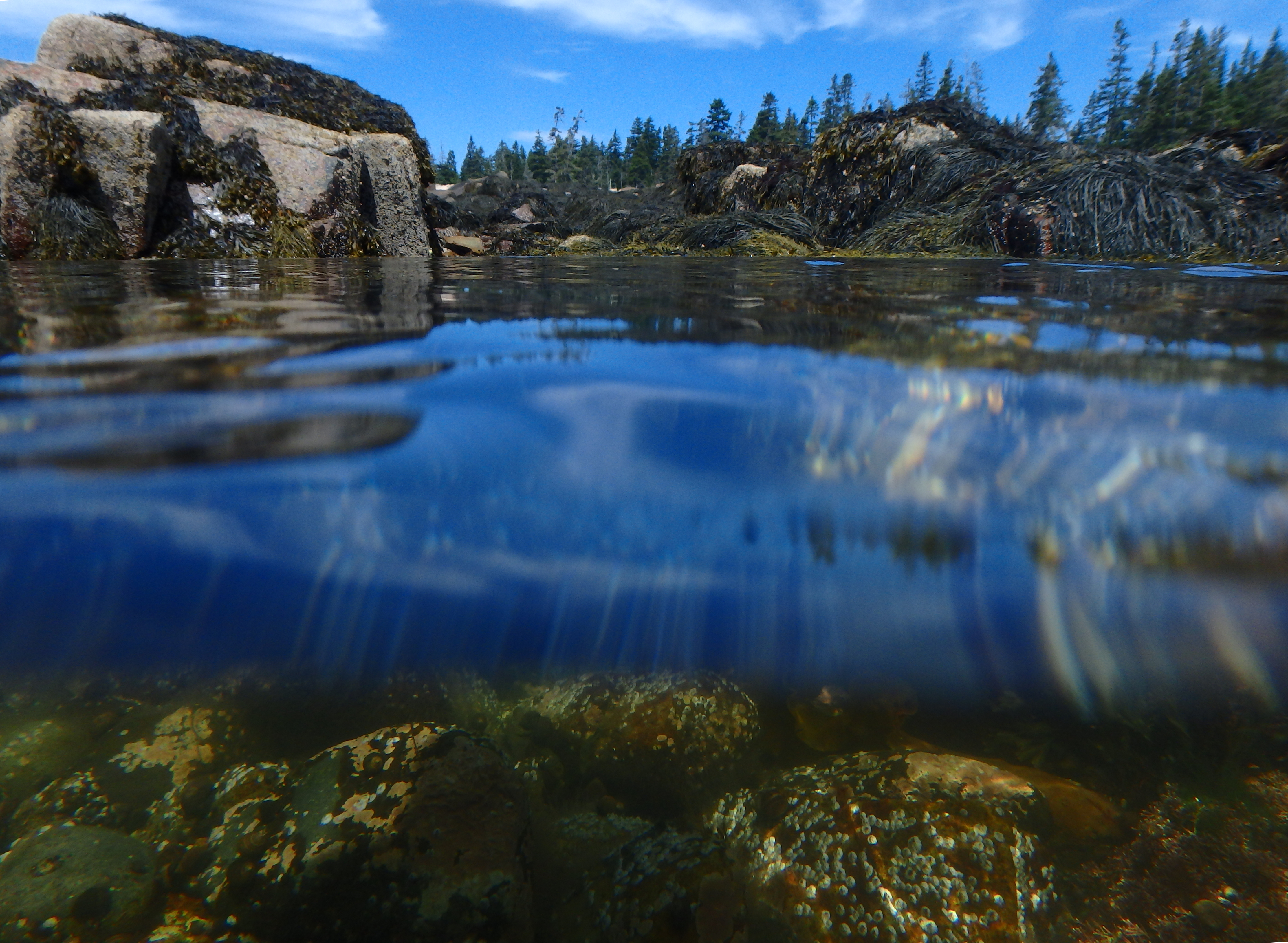 Tides - Acadia National Park (U.S. National Park Service)