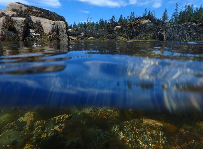 Split view of rocks and ocean water