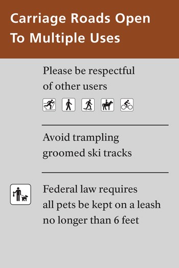 Graphic that lists winter carriage rules