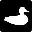 bird bird