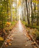 Fall on the Jesup Path near Wild Gardens of Acadia. Fall on the Jesup Path near Wild Gardens of Acadia.