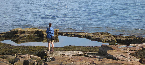 Woman stands near tidepool looking in.
