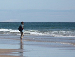 A child wades in the water at Cape Cod National Seashore