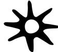 NSOROMMA is the symbol for guardianship. NSOROMMA is the symbol for guardianship.