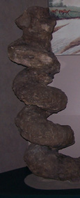 A spiral shaped fossilized Daemonelix stands on display.