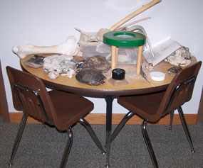 A round table with fossils, bones, rocks and shells arranged for examination and identification with two chairs neatly placed by the table.