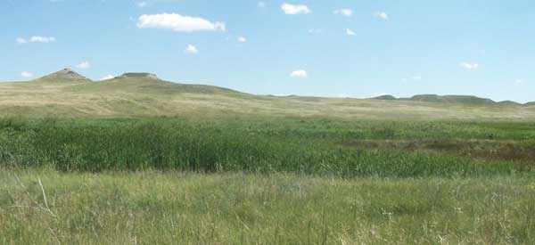 Wetlands against a backdrop of rolling hills under a blue sky with a few clouds.