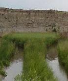 Tall green grass growing on both sides and in the middle of 2 strips of a narrow river. There is a rock cliff in the background.
