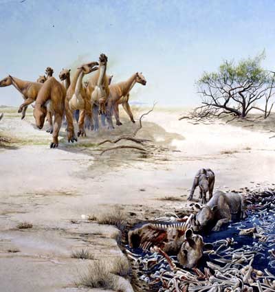 Chalicotheres