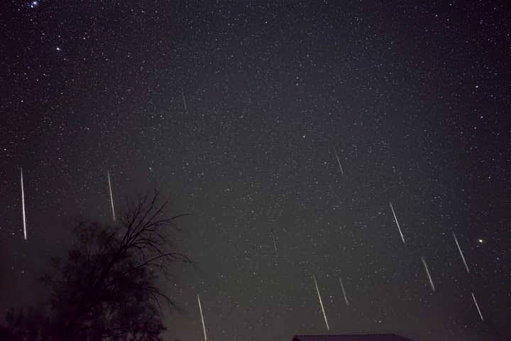Meteor Shower About 10 streaks of light fall vertically from an otherwise black sky. A lone tree stands silhouetted in the bottom left corner.