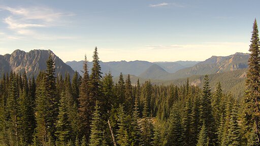 Air Quality Webcam view