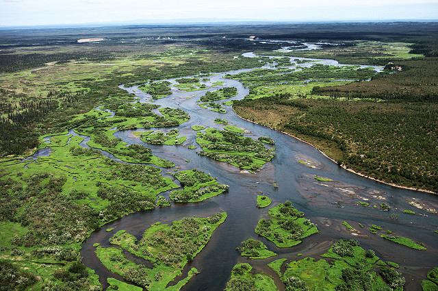 Alagnak from the air Alagnak River from the air