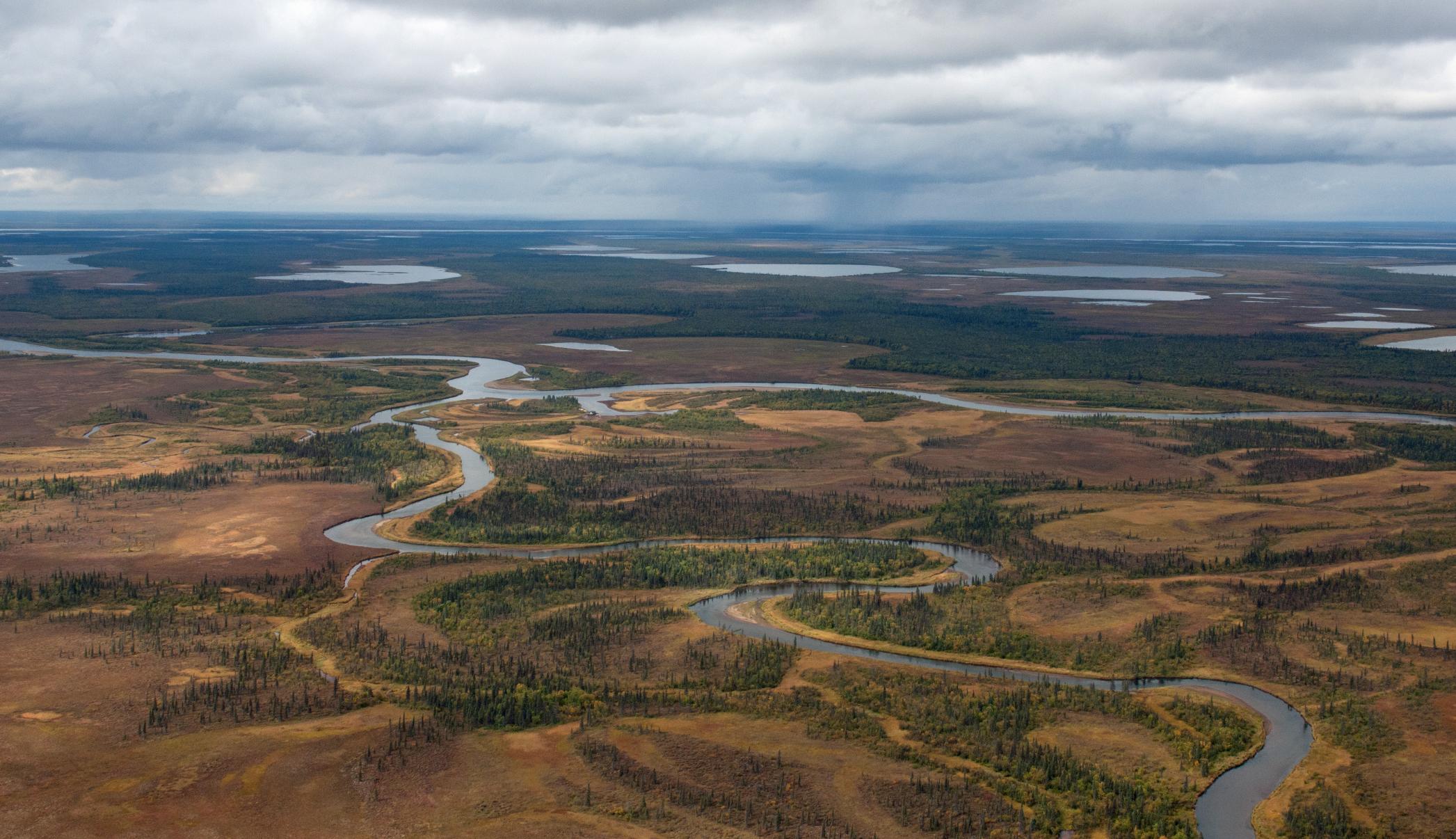 An aerial view of a river winding through green and brown tundra.