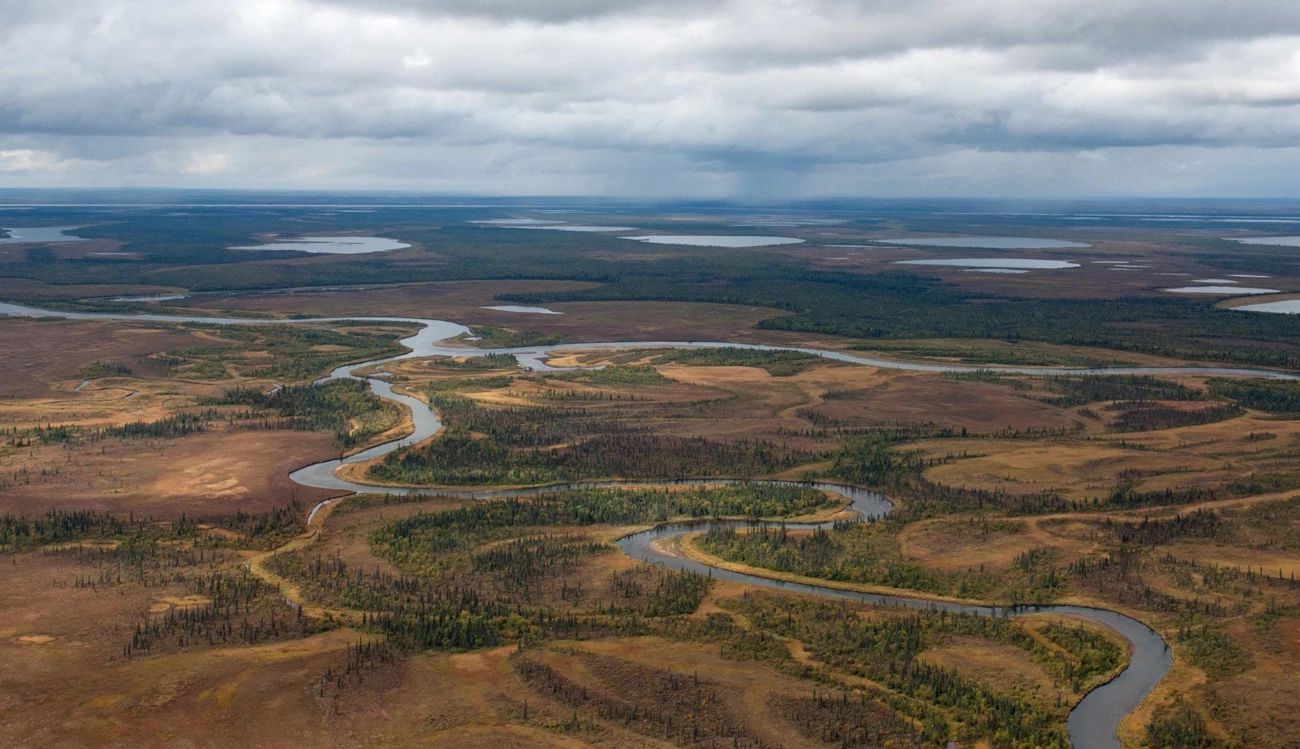 Alagnak Wild River from the air An aerial view of a river winding through green and brown tundra.