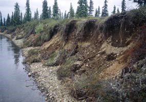 Riverbank erosion on the Alagnak