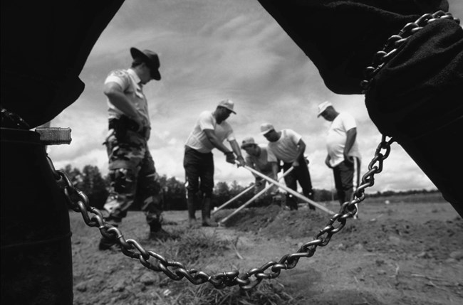 南卡羅來納州監獄「鎖鏈與苦工」鎖鏈囚犯[“Chains and Hard Labor” Chain Gang]。獲得攝影師Robert Nelson許可展出該相片。
