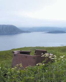 ruin in green grass with ocean behind