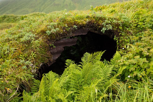 a large, wooden opening appears in the slope of thick grasses, supported by a wooden roof and central beam.