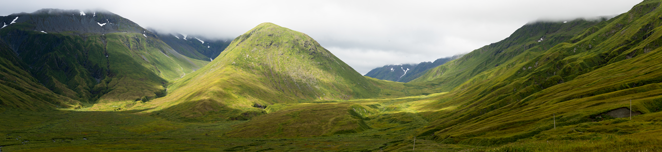 verdent foothills of a mountainous landscape are capped by a thick, low bank of fog.