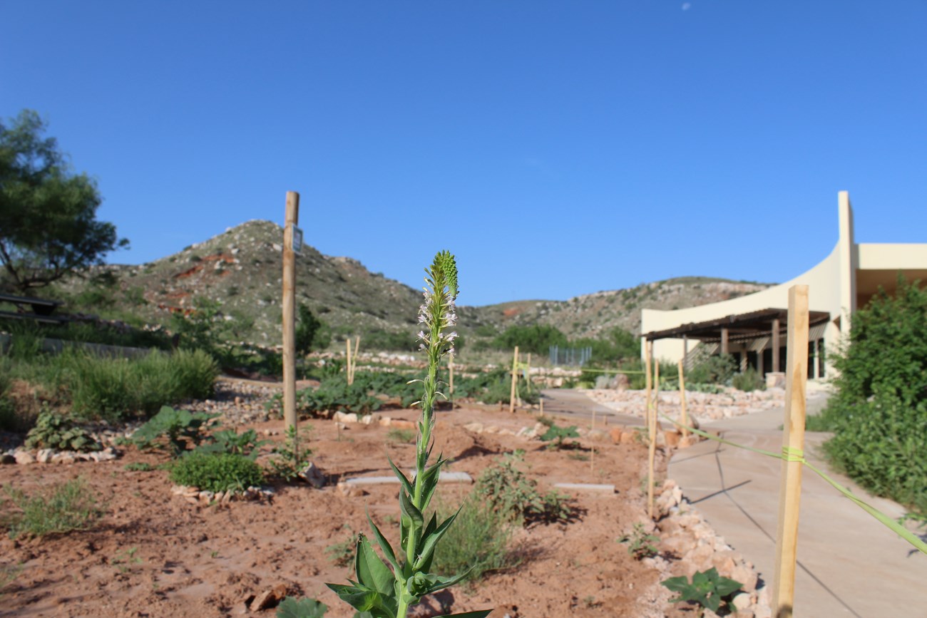 Alibates Visitor Center