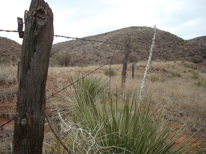 Historic fence