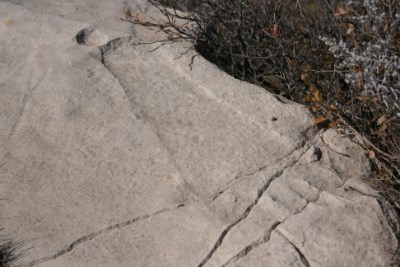 Footprint petroglyph in a dolomite boulder.