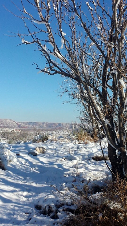 Mesquite Trail