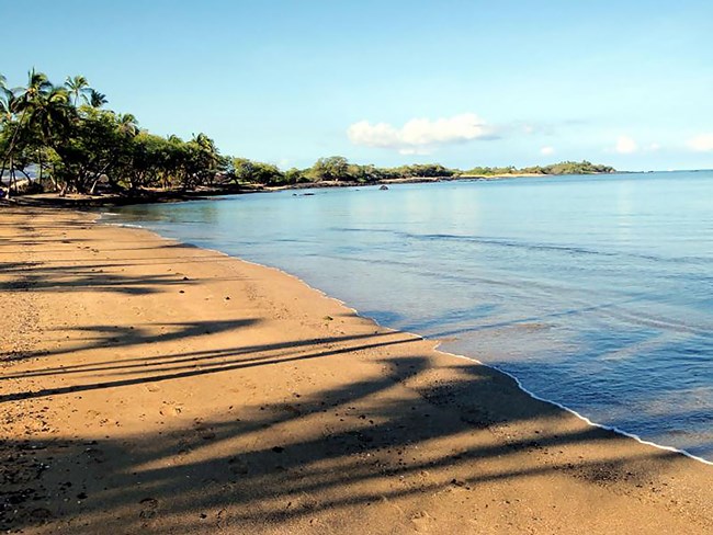 Sandy beach