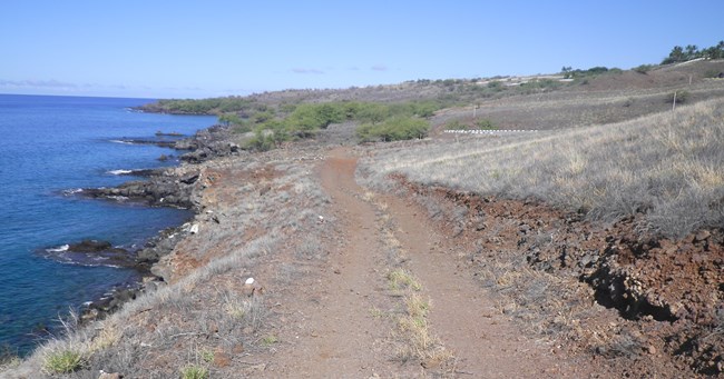 Jeep Trail