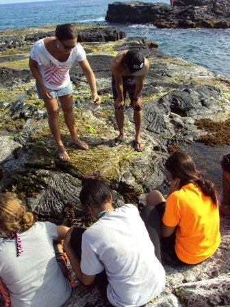 Living classroom along the trail