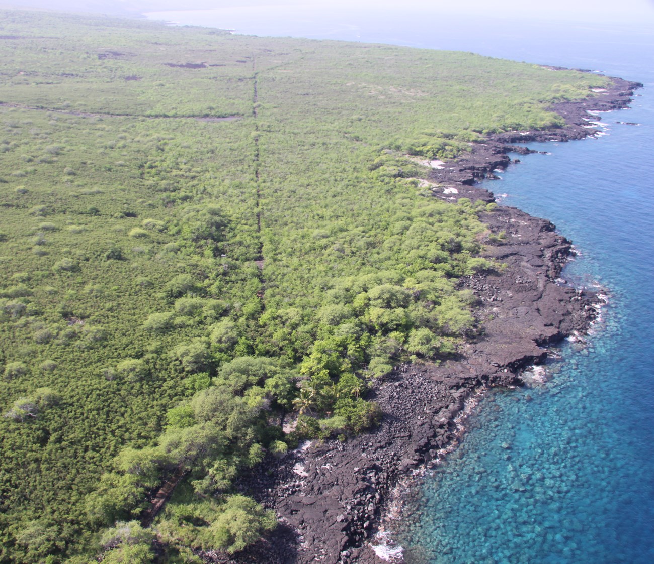 Aerial photo of Kauleoli