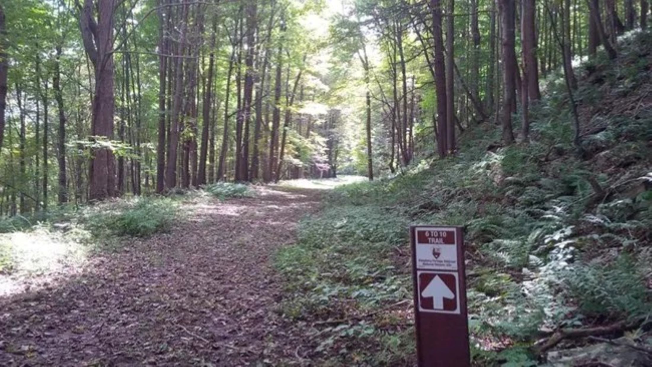 6-10 Trail Trail with trail sign