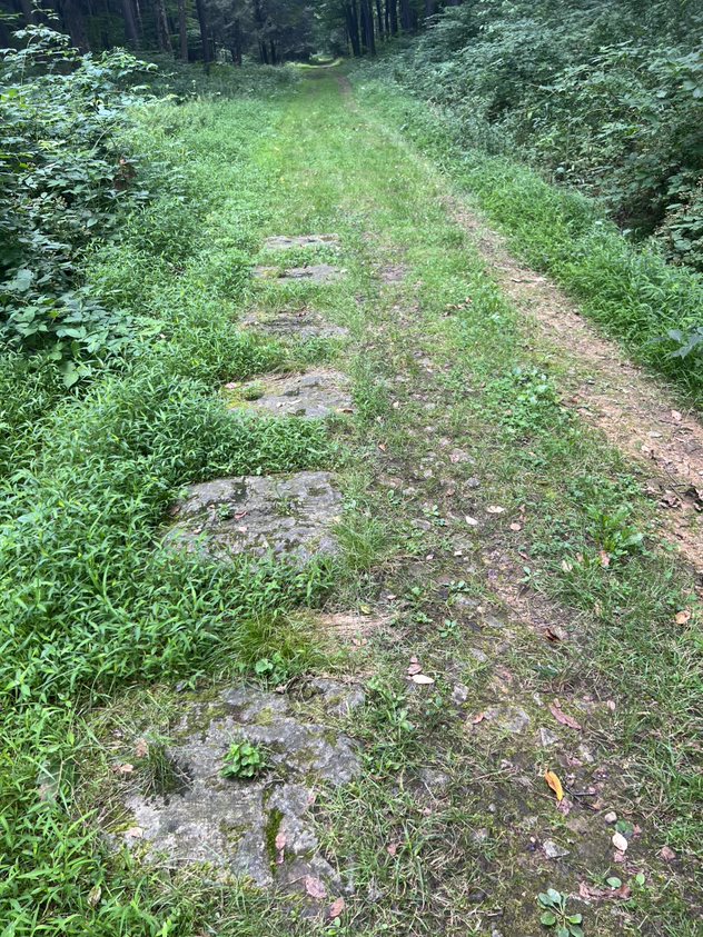 Stone sleepers along the trail.