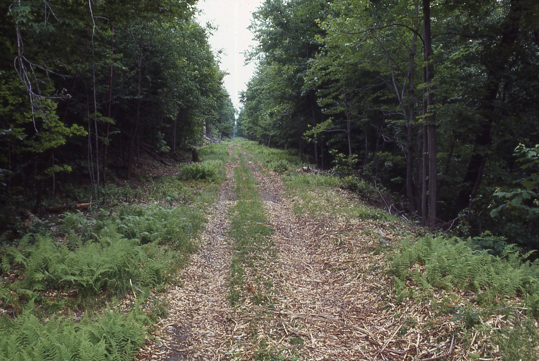 A view of the inclined plane.