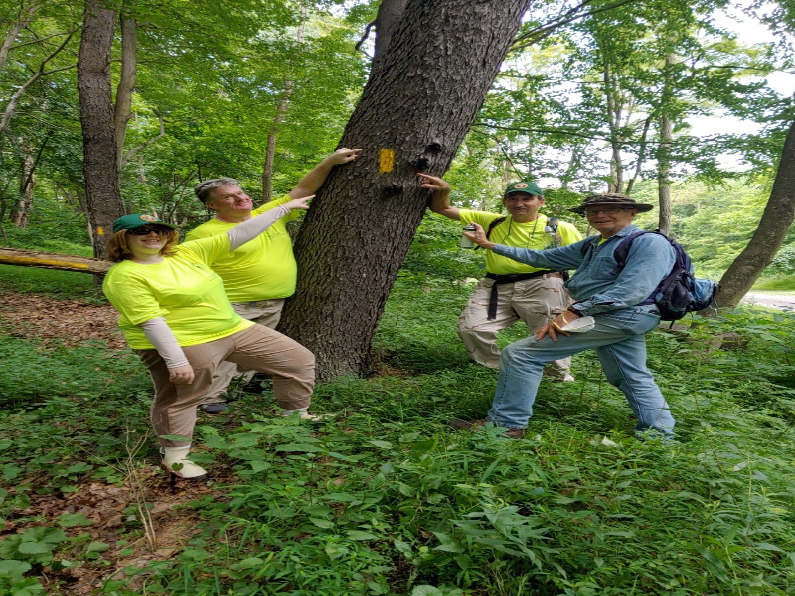 Trail crew volunteers stand next to a painted blaze on a tree.