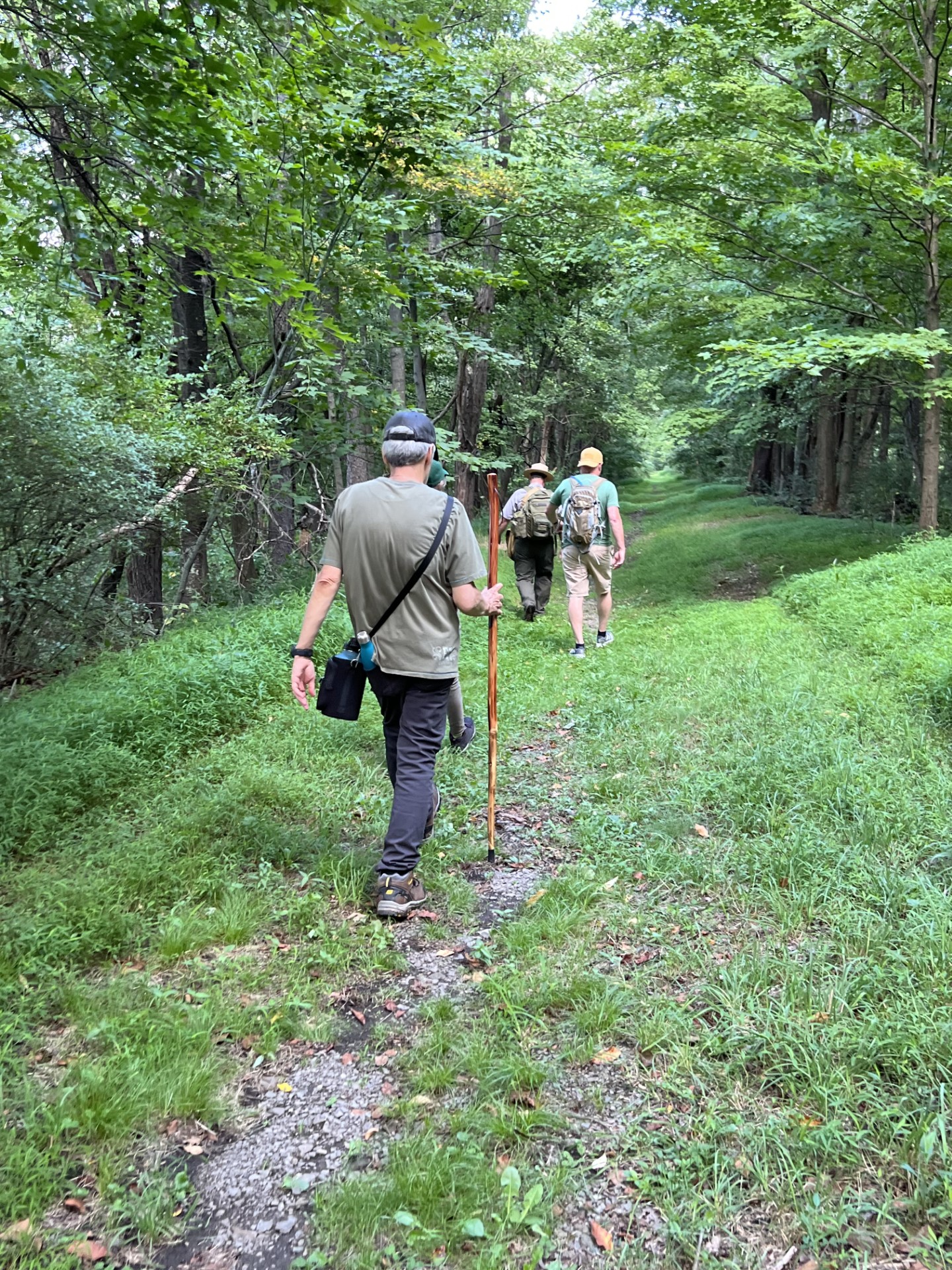 Hike participants walking on the trail.