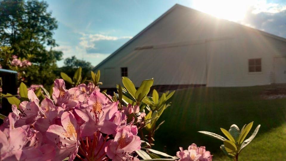A white structure with flowers