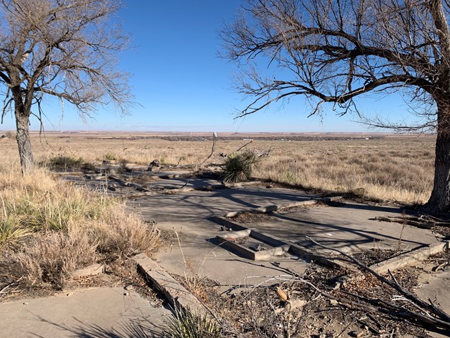 A concrete foundation in the middle of a field. Grass, trees, and yucca grow in and around the foundation.