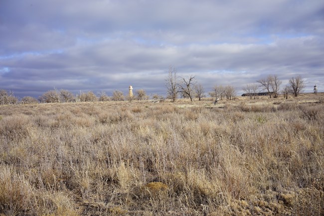A flat grassland with scattered trees under a cloudy sky. Appears to be late fall or winter as there are no leaves on the trees. A few structures are on the horizon, most prominent is a large water tower.