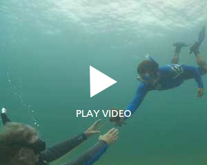 video still overlaid with words 'Play Video'