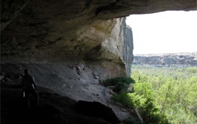 A silhouetted person barely visible looking out of a large cave into a vegetated expanse.