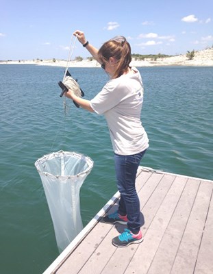 Woman with white net doing Tow Sampling at the end of a dock with Amistad Reservoir in the background.