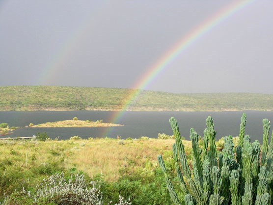 Rainbow_Pic Rainbow_Pic