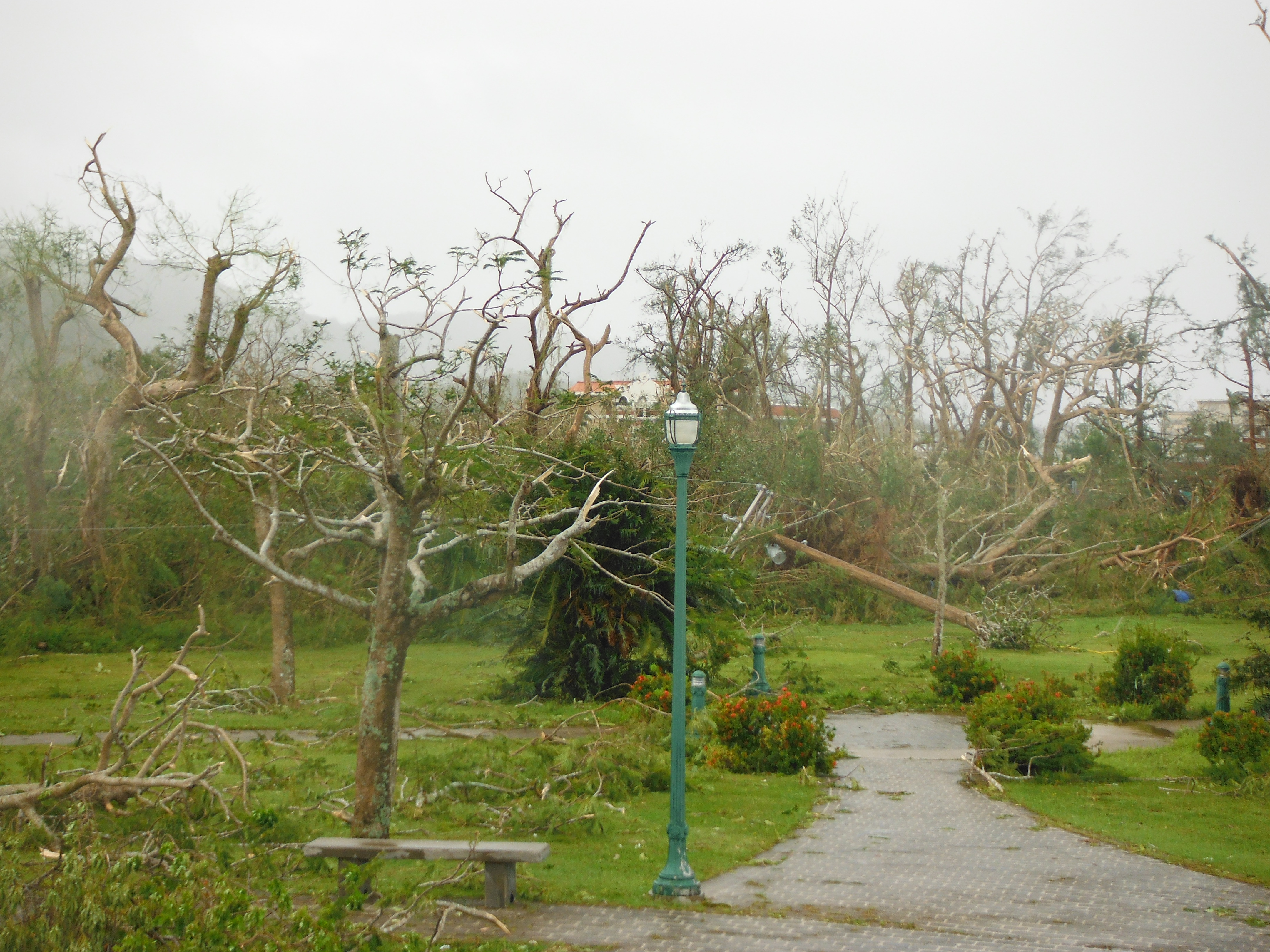 Typhoon Damage